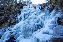 Ice climber climbing up a frozen waterfall at Launchy Ghyll, Thirlmere, Lake District National Park, Cumbria, UK. February, 2021.