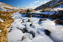 Ice formations on frozen stream on Bright Beck, Langdale, Lake District National Park, Cumbria, UK. February, 2021.