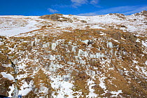 Icy conditions above Bright Beck crag, Langdale, Lake District National Park, Cumbria, UK. February, 2021.