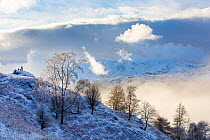 View of mist over Tarn Howes, looking towards Coniston Old Man, Lake District National Park, Cumbria, UK. January, 2021.