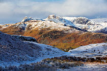 Winter view towards the Langdale Pikes from Black Fell, Lake District National Park, Cumbria, UK. January, 2021.