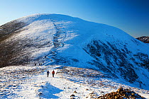 Hikers descending Sail hill towards Causey Pike in winter, Lake District National Park, Cumbria, UK. December, 2020.