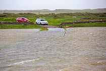 Cars stranded on coastal road cut off by storm surge flooding, Walney Island, Cumbria, Irish Sea, UK. August, 2020.