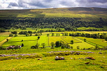 View looking down on Littondale from the lower slopes of Firth Fell, Yorkshire Dales National Park, Yorkshire, UK. July, 2020.