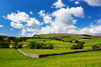 View looking towards Dr Proctors Scar from Austwick, Yorkshire Dales National Park, Yorkshire, UK. July, 2020.