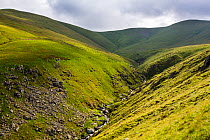View of Stanah Gill on the Helvellyn range, Thirlmere, Lake District National Park, Cumbria, UK. July, 2020.