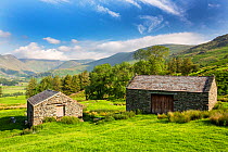 Barns and view looking up the head of the Kentmere Valley, Lake District National Park, Cumbria, UK. June, 2020.