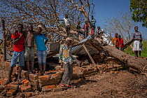 People sitting around tree that fell on the Micheu school during Cyclone Idai, waiting for their names to be called during food distribution. Outskirts of Gorongosa National Park, Mozambique. March 20...