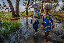 Ana Jo (21), first and fourth grade teacher, walking with her sister Dotinha Antonio (19) through floodwater, after Cyclone Idai,  to reach their family home, carrying 17kg food parcels on their heads...