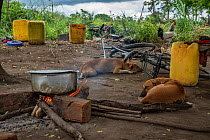 Fire in Dorca Benjamane's compound for cooking maize meal from food kit just received from park, after Cyclone Idai.  Outskirts of Gorongosa National Park, Mozambique. April 2019.