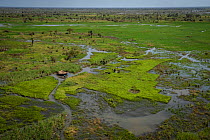 Aerial view of flooded community in park's southern buffer zone, still inundated two weeks after Cyclone Idai. Outskirts of Gorongosa National Park, Mozambique. March 2019.