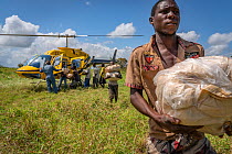 Men unloading food distribution delivered by helicopter, after Cyclone Idai, on the outskirts of Gorongosa National Park, Mozambique.   March 2019.