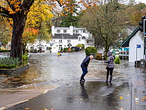 Flooded road after torrential rains caused Lake Windermere to reach very high levels, Waterhead, Ambleside, Lake District National Park, Cumbria, UK. October, 2021.