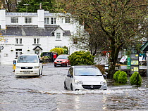 Vehicles driving through floodwater after torrential rains caused Lake Windermere to reach very high levels, Waterhead, Ambleside, Lake District National Park, Cumbria, UK. October, 2021.