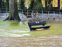 Flooding in Rothay park after torrential rains caused the River Rothay to break its banks, Ambleside, Lake District National Park, Cumbria, UK. October, 2021.