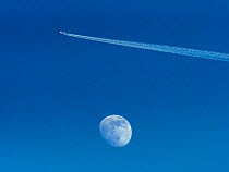 Rising moon and jet trails from a passing aeroplane, Norfolk, UK. January.