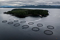 Aerial view of salmon farm near Port Hardy, British Columbia, Canada. North East Pacific Ocean. July.