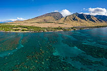 Aerial view of kayakers paddling through channel surrounded by fringing coral reef with West Maui mountains in background, off Olowalu Beach, West Maui, Hawaii, Pacific Ocean.
