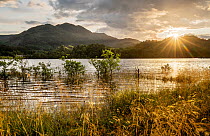 Sunset over Loch Achray looking north towards Ben Venue, The Trossachs National Park, Stirling, Scotland. August, 2019.