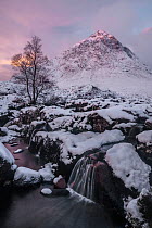 Pink sky at sunrise over a snow-covered landscape and highland stream, with a view to Buachaille Etive Mor, Glencoe, Scotland. November, 2017.