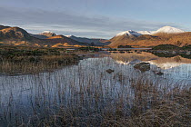 Panoramic view of Lochan na h-Achlaise, Rannoch Moor, on a frosty morning in the autumn, Highlands, Scotland. November. 2017.