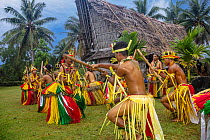 Group of young Yapese in traditional clothing for a cultural ceremony, Yap, Federated States of Micronesia.