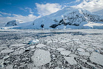 Slushy sea ice covering the water surface, surrounded by snow covered mountains, Neko Harbour, Antarctica, Southern Ocean.