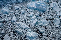 Close up of slushy sea ice, Neko Harbour, Antarctica, Southern Ocean.