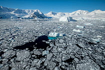 Slushy sea ice and icebergs covering the surface surrounded by snow covered mountains, Neko Harbour, Antarctica, Southern Ocean.