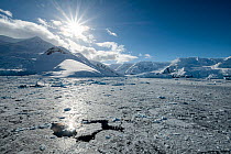 Slushy sea ice covering the surface in bright sunlight surrounded by snow covered mountains, Neko Harbour, Antarctica, Southern Ocean.