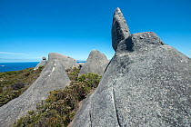 Huge granite rock formations along the coastline, Waychinicup National Park, Western Australia. August, 2016.