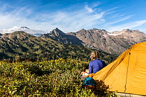 HIker camping along the Pacific Crest Trail in the Glacier Peak Wilderness, Mount Baker Snoqualmie National Forest, Washington, USA. August. Model released.