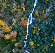 Aerial view of waterfall in the Urdiceto Ravine surrounded by mixed autumnal forest, Pyrenees Mountains, Aragon, Spain. November.