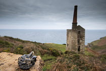 A sample of Cassiterite (Tin ore) photographed in front of an engine house for the Wheal Prosper Tin mine, Rinsey, Cornwall, UK. January, 2022.