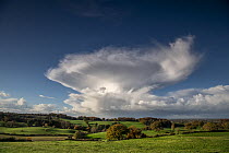A developing Cumulonimbus cloud over the countryside near the villages of Burwardsley and Tattenhall, Cheshire, England, UK. October, 2020.
