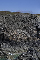 Folded Pre-Cambrian age, metamorphic rocks, along the coast, Holy Island, Anglesey, Wales, UK. July, 2021.
