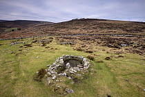 Remains of a hut circle with a clear entrance within the walled enclosure of Grimspound, a late Bronze Age settlement, Dartmoor, Devon, England. January, 2022.