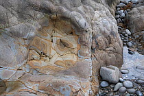 Liesegangen rings / Liesegang bands in Carboniferous, Culm Measures sandstone, Bude, Cornwall, UK. January, 2022.