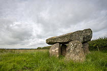 Ty Newydd Burial Chamber, a Neolithic dolmen, near Rhosneigr, Anglesey, Wales. UK. July, 2021.