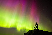 Mountain biker on mountain silhouetted against the lights of aurora borealis in the night sky, West Lewis, Outer Hebrides, Scotland, UK. April, 2015.