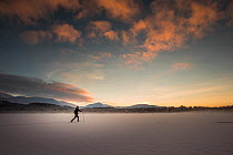 Cross country skier on a frozen Loch Morlich at dusk in winter, Glenmore Forest Park. Cairngorms National Park, Scotland, UK. January, 2021.