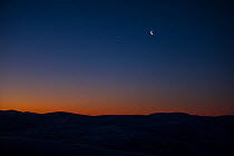 Crescent moon and stars in pre-dawn winter light, Cairngorms National Park, Scotland, UK. January, 2019.