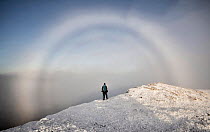 A hillwalker framed by a 'fog bow', on snow-covered Slioch mountain summit, Torridon, Highlands, Scotland, UK. November, 2019. Model released.