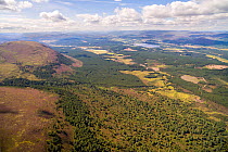 Aerial view of mixed landscape of commercial forestry plantations and natural woodland regeneration along the Spey Valley between Aviemore and Kincraig, Cairngorms National park, Scotland, UK. July, 2...