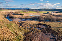 Aerial view of an excavator working on wetland creation and wader scrapes and surrounding farmland, Ballinlaggan Farm, Cairngorms Natinal Park, Scotland, UK. December, 2020.