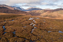 A section of restored peatland, fenced off to monitor the impact of removing deer, Mar Lodge Estate National Nature Reserve, Cairngorms National Park, Scotland, UK. November, 2021.