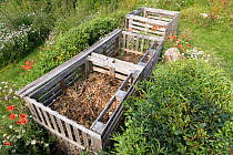 Wooden compost bins surrounded by wildflowers in garden, Scotland, UK. August.