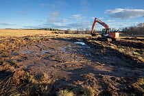 Digger being used to create wader scrapes, shallow pools, in wetland habitat, on Northwoods Rewilding Network land partner, Ballinlaggan, Cairngorms National Park, Scotland, UK. December, 2020.