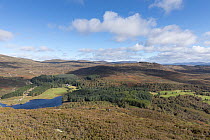 View across moorland and commercial forestry from Creag Bheag, Monadhliath Mountains, Cairngorms National Park, Scotland, UK. October, 2021.