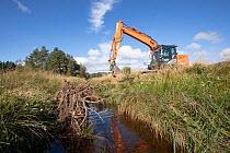 A digger installing a woody structure in small burn to provide habitat for fish and reduce the flow of water, Dellifure, Cairngorms National Park, Scotland, UK. September.
